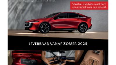 Advertentie Hartgerink en Klomp