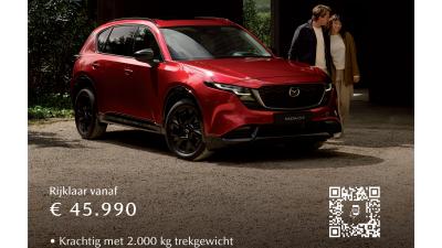 Advertentie Hartgerink en Klomp