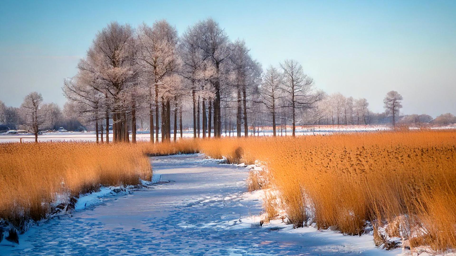 Hoofddorp in de winter