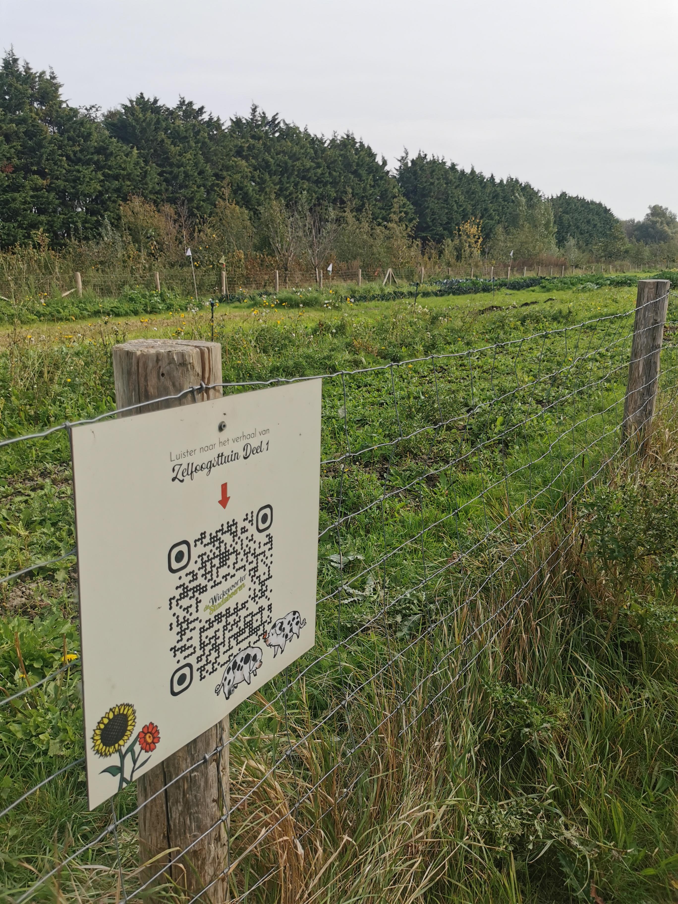 Wandeling Landgoed Wickevoort