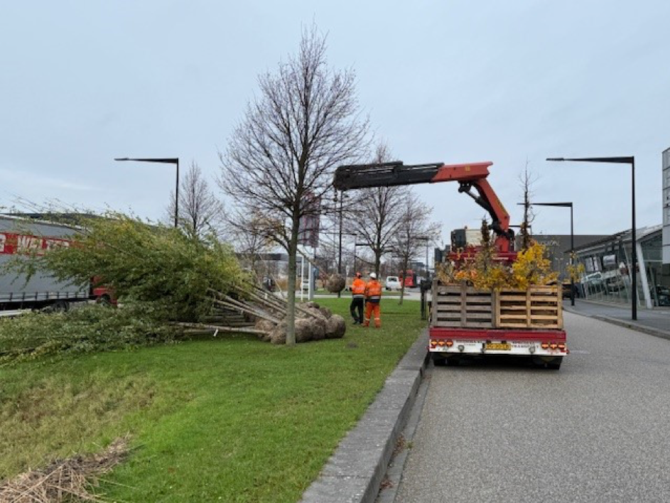 Meer groen De President