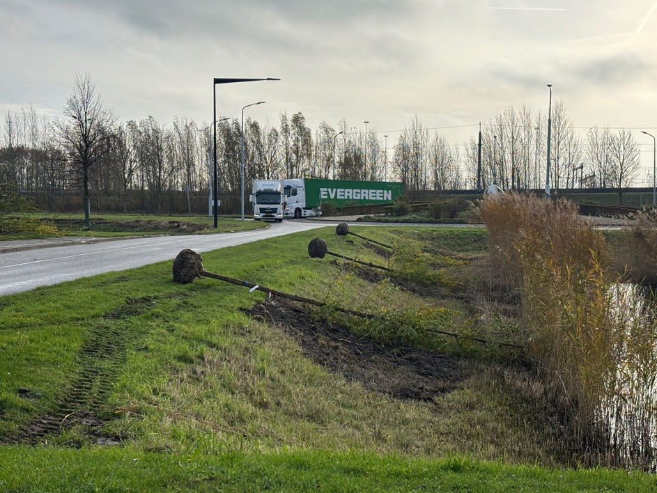 Meer groen De President